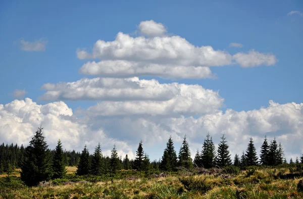 Alpine landscape in Transylvania — Stock Photo, Image