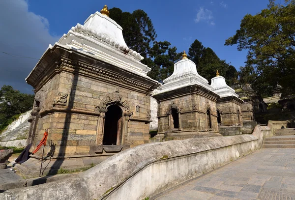 Fila di templi sacri indù a Pashupatinath, Nepal — Foto Stock
