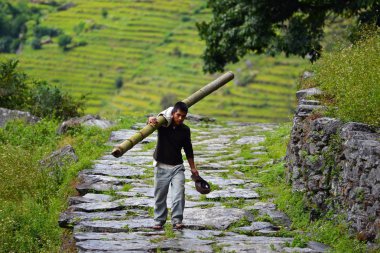 Bambu bagajda taşıyan bir adam. Himalaya, nepal