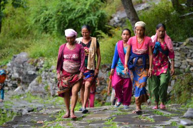 Grup gurung kadınların geleneksel giysiler içinde. Himalaya, nepal