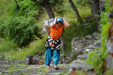 Himalayalar sepeti taşıyan bir genç gurung sherpa kadın