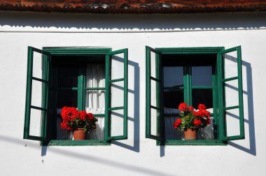 Yeşil Panjur ve Sardunya çiçekleri kırmızı badanalı ev