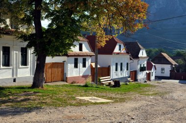 torocko, rimetea Köyü badanalı evler. Transilvanya, Romanya