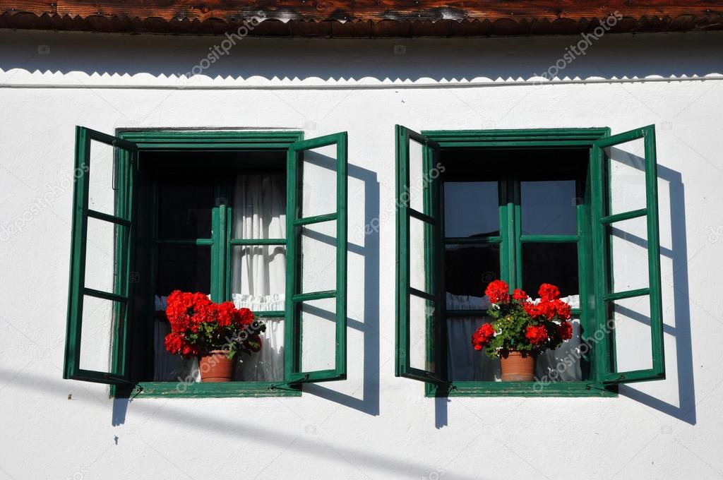 Whitewashed house with green shutters and red geranium flowers
