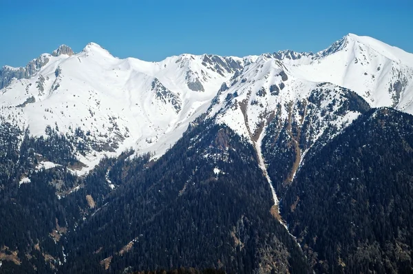 Vista invernale sulle montagne innevate delle Dolomiti. Italia — Foto Stock