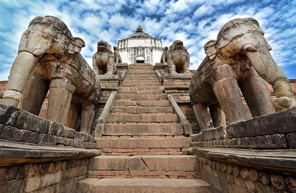 大象保护尼泊尔巴克塔普尔的一座寺庙 — 图库照片