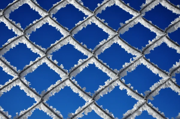 Зимовий фон з решіткою, покритою крижаними кристалами — стокове фото