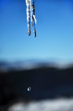 bir çatı üzerinde asılı saçağı