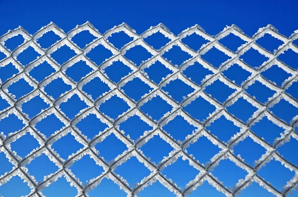 Fondo de invierno con una rejilla cubierta por cristales de hielo — Foto de Stock