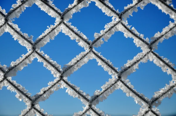 Winterhintergrund mit einem Gitter, das von Eiskristallen bedeckt ist — Stockfoto