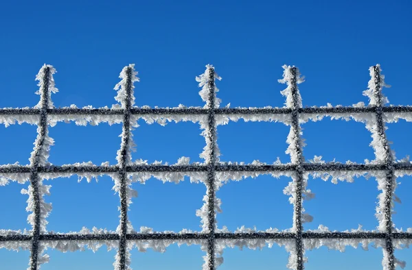 Téli háttér egy rácsos hatálya alá tartozó jégkristályok — Stock Fotó