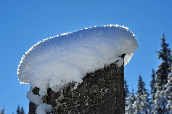 Holzzaun im Winter mit Schnee- und Eiskristallen darauf — Stockfoto