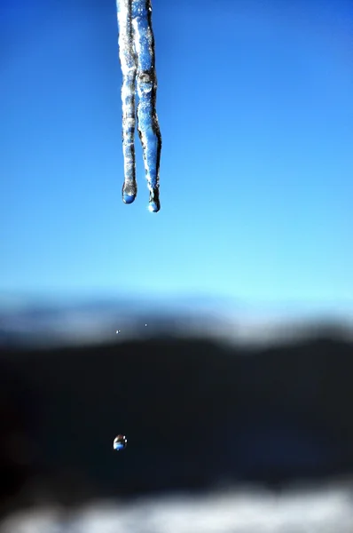 Hanging icicle on a roof — Stock Photo, Image