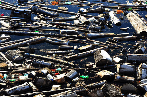 Загрязнение воды в озере с мусором
