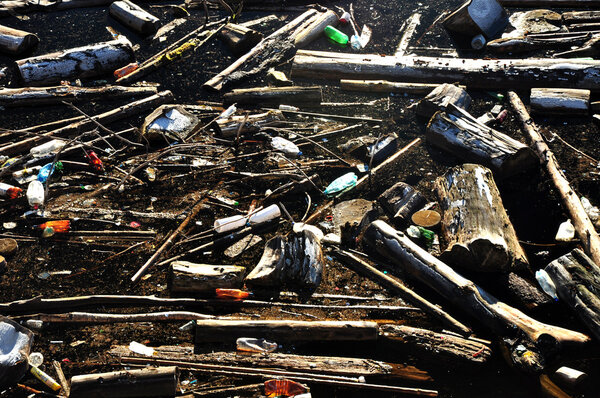 Загрязнение воды в озере с мусором
