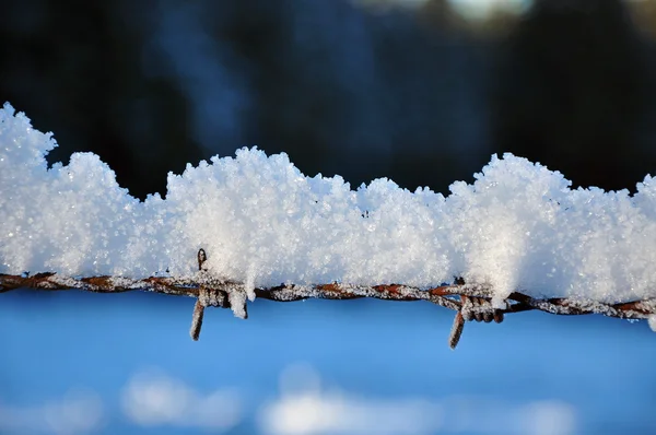 Fondo invernale con un reticolo ricoperto da cristalli di ghiaccio — Foto Stock