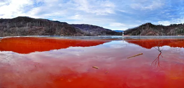 Environmental disaster. Panorama of a lake full with contaminate — Stock Photo, Image