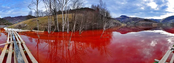 Экологическая катастрофа Панорама озера, полного загрязнений — стоковое фото