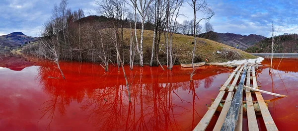 Un desastre ambiental. Panorama de un lago lleno de contaminantes —  Fotos de Stock