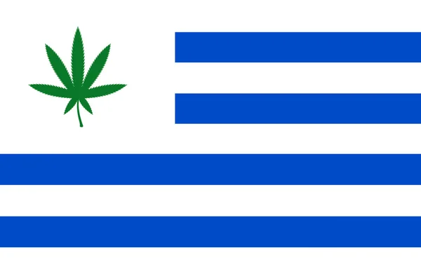 Flag of Uruguay with cannabis leaf. Uruguay becomes first country to legalize marijuana trade — Stock Photo, Image