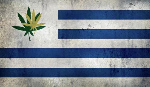Grunge Flagge von Uruguay mit einem Cannabisblatt. Uruguay legalisiert als erstes Land den Handel mit Marihuana — Stockfoto