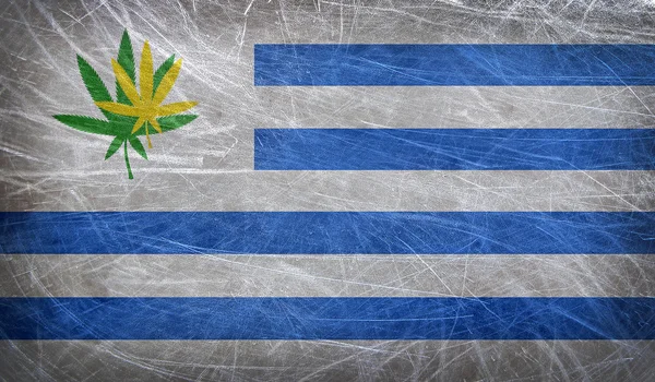 Grunge Flagge von Uruguay mit einem Cannabisblatt. Uruguay legalisiert als erstes Land den Handel mit Marihuana — Stockfoto