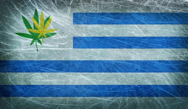 Grunge vlag van uruguay met een blad van cannabis. Uruguay wordt eerste land dat het legaliseren van marihuana handel — Stockfoto
