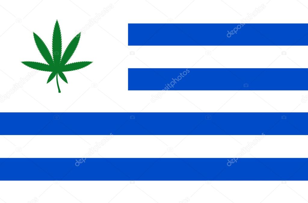 Flag of Uruguay with cannabis leaf. Uruguay becomes first country to legalize marijuana trade