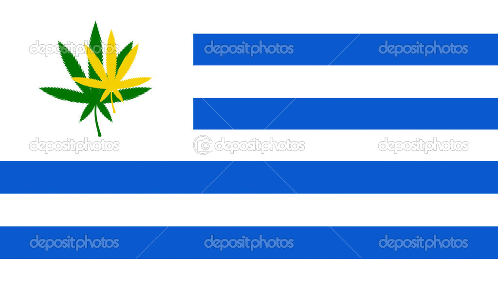 Flag of Uruguay with cannabis leaf. Uruguay becomes first country to legalize marijuana trade