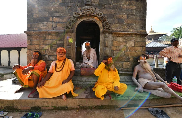 Sagrado Sadhu homens com dreadlocks e rosto pintado tradicional em P — Fotografia de Stock