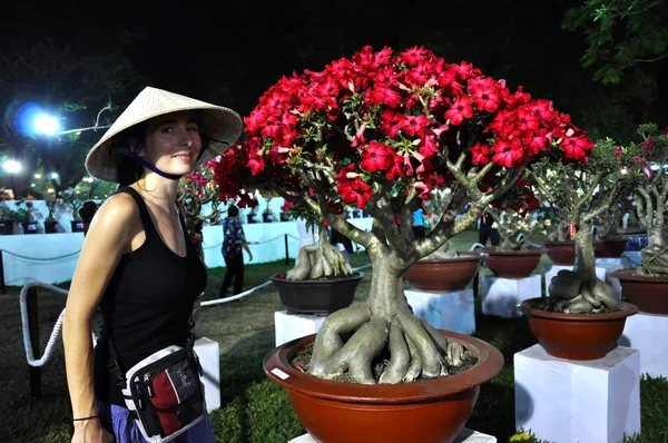 Fiore di bonsai — Foto Stock