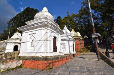Pashupatinath hindu tapınakları. Nepal