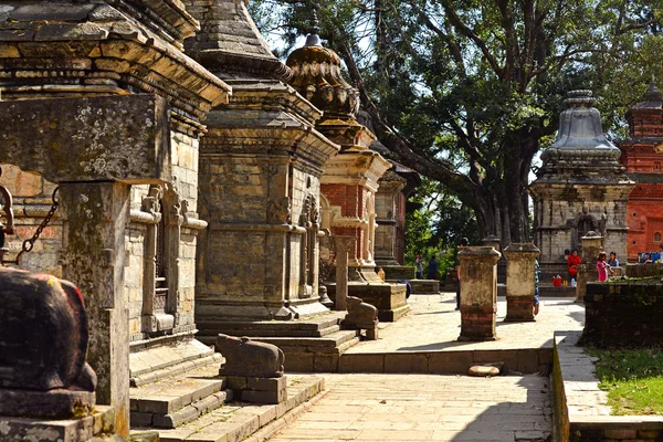 Ряды священных индуистских храмов в Пашупатинатхе, Непал — стоковое фото