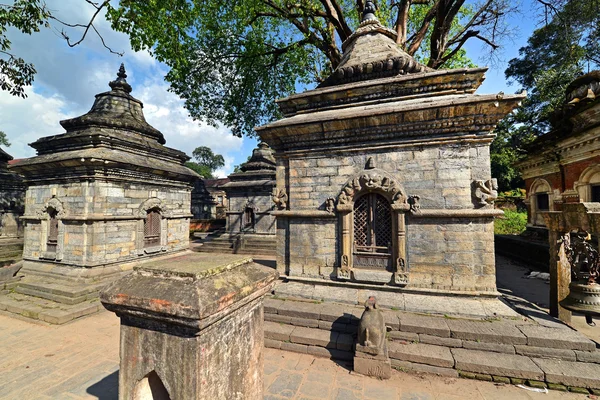 Rânduri de temple hinduse sacre în Pashupatinath, Nepal — Fotografie, imagine de stoc