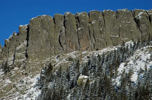 Montagna innevata — Foto Stock