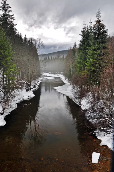 Floden vinterlandskap — Stockfoto