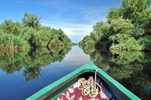 Overstroomd bos in Donaudelta — Stockfoto