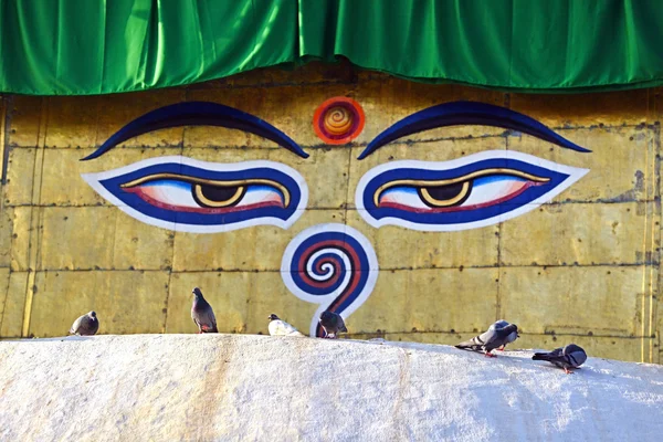 Eyes of Buddha — Stock Photo, Image