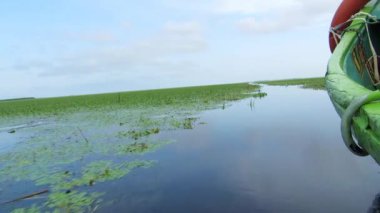 Tuna Deltası, romania bataklığın bitki örtüsü ile güzel sessiz su kanalı. hareketli bir gemiden göster