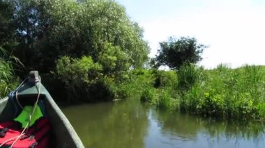 Tuna Deltası, romania bataklığın bitki örtüsü ile güzel sessiz su kanalı. hareketli bir gemiden göster