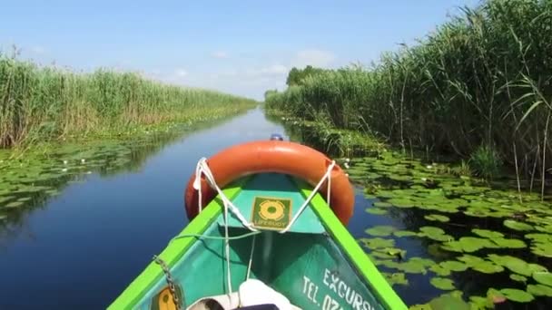 Perjalanan perahu di delta Danube — Stok Video