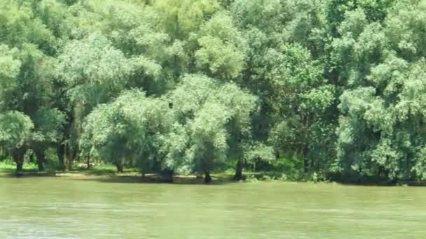 Hermoso canal de agua tranquila con vegetación pantanosa en el delta del Danubio, Rumania. Vista desde un recipiente en movimiento — Vídeo de stock