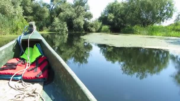 Hermoso canal de agua tranquila con vegetación pantanosa en el delta del Danubio, Rumania. Vista desde un recipiente en movimiento — Vídeos de Stock