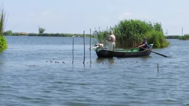 ドナウ ・ デルタでの釣りの漁師 — ストック動画