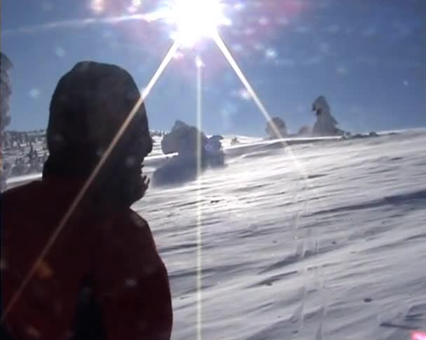 Burza śnieżna w górach — Wideo stockowe