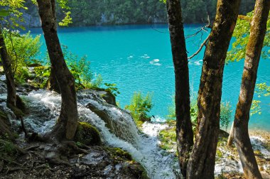 Göl derin orman, plitvice, Hırvatistan