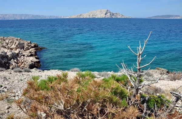 Sea coastline with eroded limestone cliffs — Stock Photo, Image