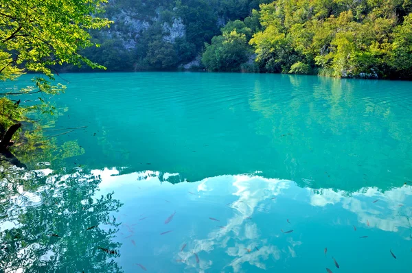 Lago di smeraldo a Plitvice, Croazia — Foto Stock