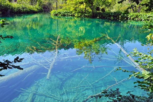 Turkosa sjön i plitvice, Kroatien — Stockfoto