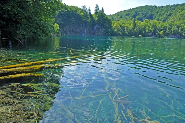 Lago Turquesa em Plitvice, Croácia — Fotografia de Stock